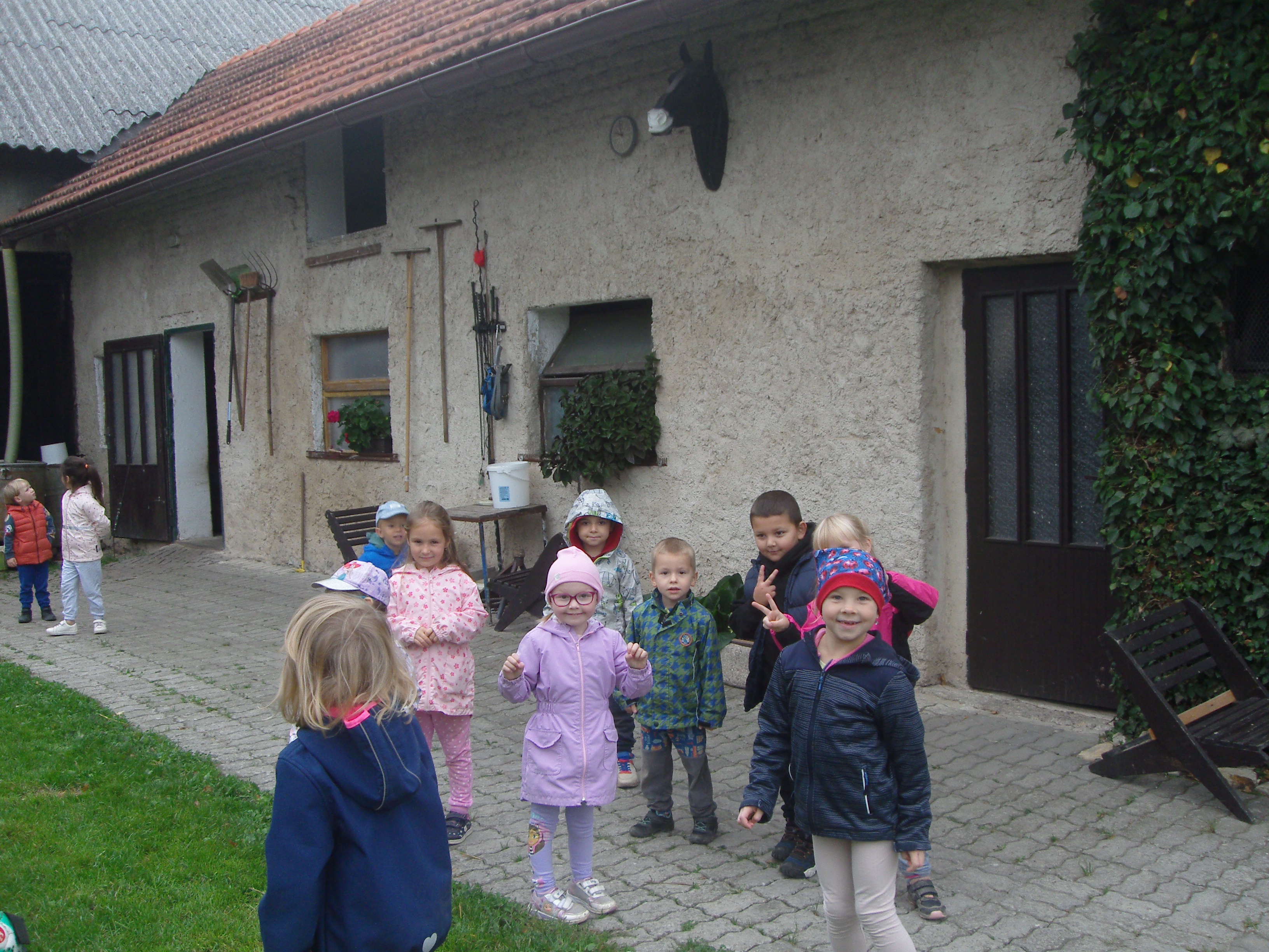 SDC18980